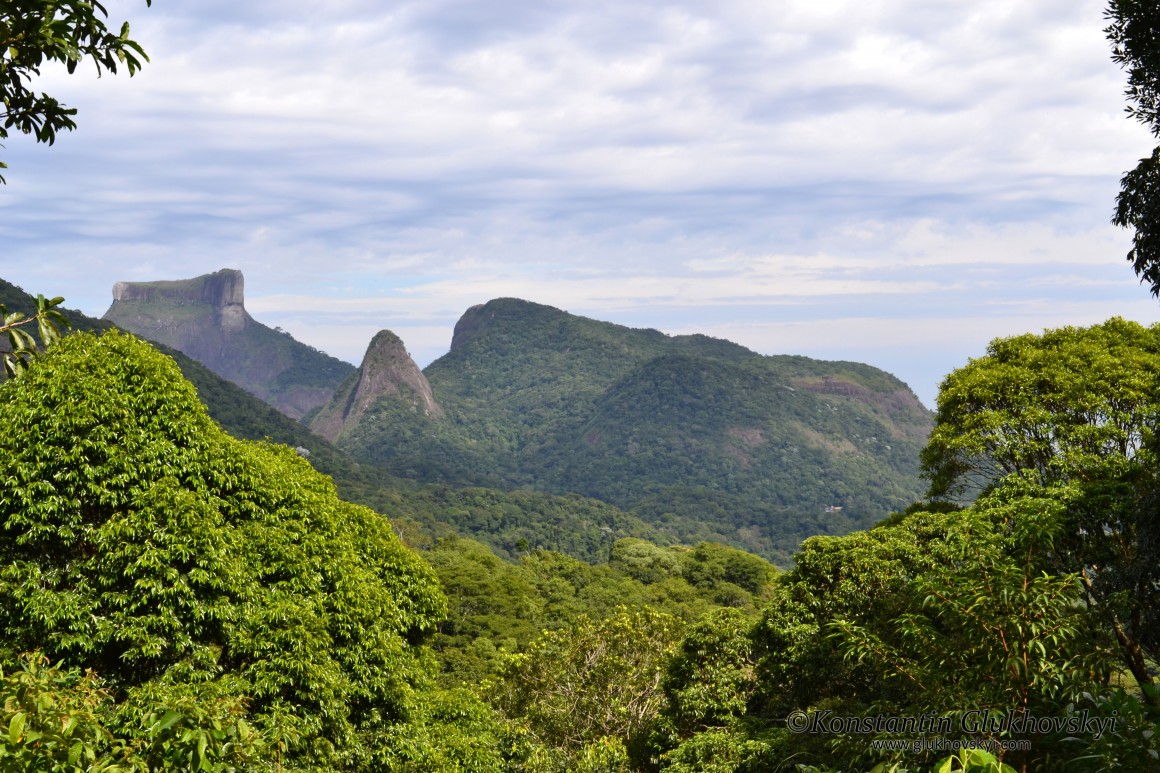 Tijuca National Park, Rio de Janeiro, Brazil